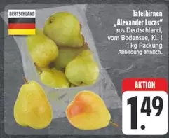Tafelbirnen „Alexander Lucas"