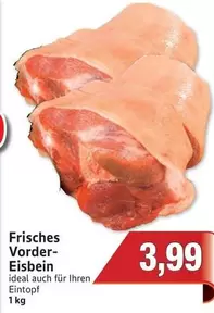 Ideal - Frisches Vordereisbein