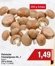 Braun - Polnische Champignons KL. I