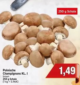 Braun - Champignons KL. I
