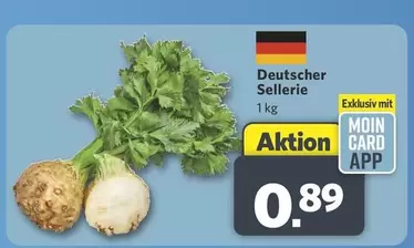 Deutscher Sellerie