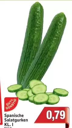 Spanische Salatgurken