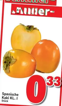 Kaki - Spanische  KL. I