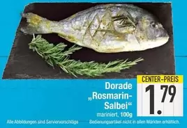 Dorade „Rosmarin-Salbei"