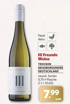 TROCKEN GRAUBURGUNDER