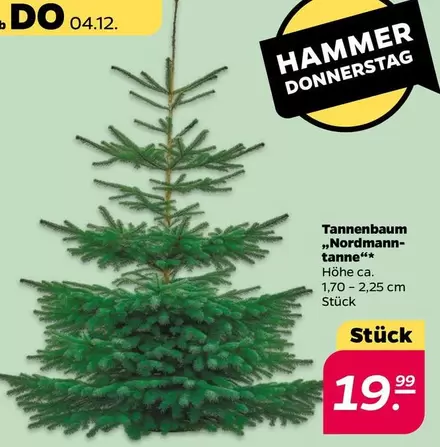 Tannenbaum „Nordmann-tanne“*
