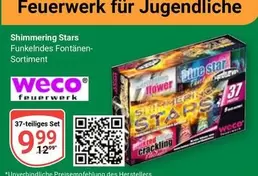 Flower - Shimmering Stars