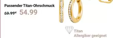 Titan - Passender -Ohrschmuck
