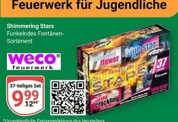 Flower - Shimmering Stars