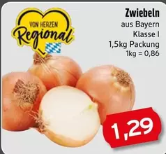 Zwiebeln
