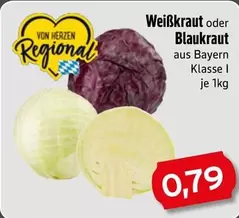 Weißkraut oder Blaukraut