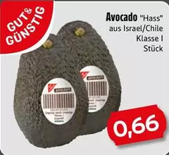 Avocado "Hass"