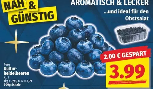 Ideal - Kultur-heidelbeeren