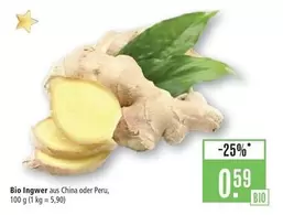 Bio - Ingwer