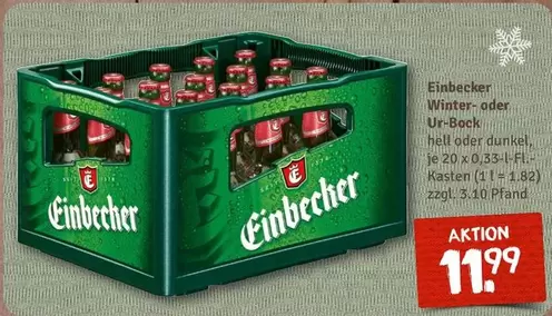 Winter- oder Ur-Bock