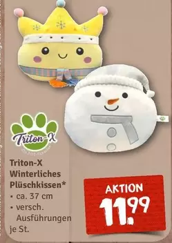 Winterliches Plüschkissen*