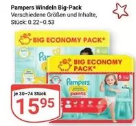 Pampers - Windeln Big-Pack