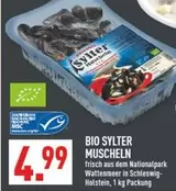 Bio - SYLTER MUSCHELN