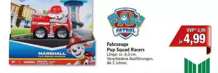 Paw Patrol - Pup Squad Racers