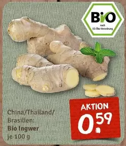 Bio - Ingwer