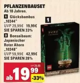 LEGO - Glücksbambus 10344, Bonsaibaum 10348