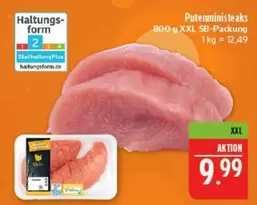 Putenministeaks