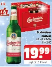 Budweiser - Budvar