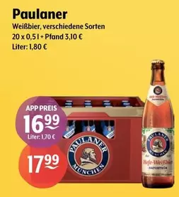 Paulaner - Weißbier, Verschiedene Sorten