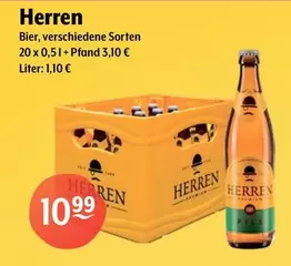 Herren - Bier