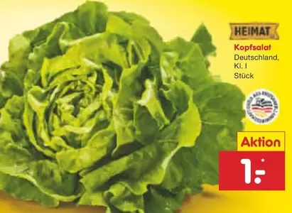 Kopfsalat