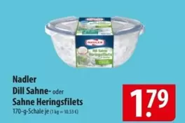 Dill Sahne- oder Sahne Heringsfilets