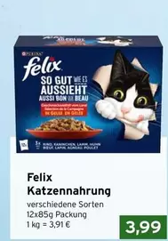 Katzennahrung