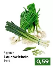 Lauchwiebeln