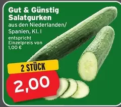 Salatgurken