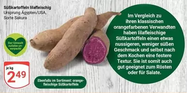 Orange - Süßkartoffeln lilafleischig