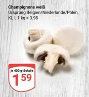 Champignons weiß