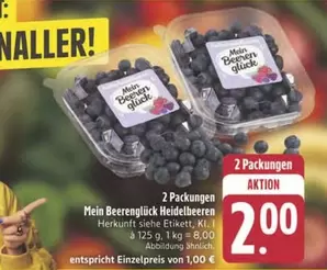 Beerenglück Heidelbeeren