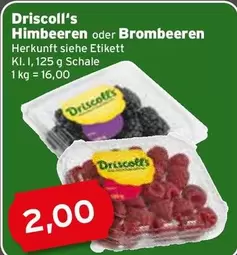 Himbeeren oder Brombeeren