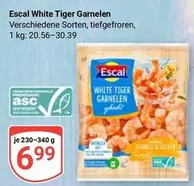 White Tiger Garnelen