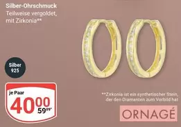 Stein - Silber-Ohrschmuck