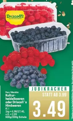 Kultur-heidelbeeren oder Driscoll's Himbeeren