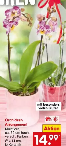 Keramik - Orchideen Arrangement