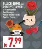 Flower - PLÜSCH-BLUME oder POSITIVE FLOWER