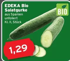 Bio -  Salatgurke