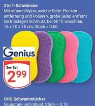 Genius - 2 in 1-Schwämme