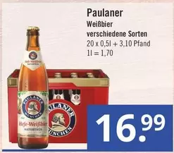 Paulaner - Weißbier verschiedene Sorten