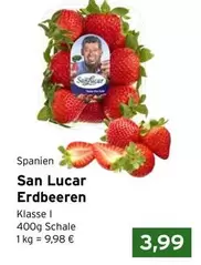 San Lucar Erdbeeren