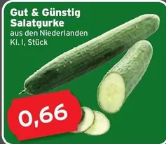 Salatgurke