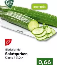 Salatgurken