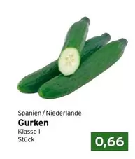 Gurken
